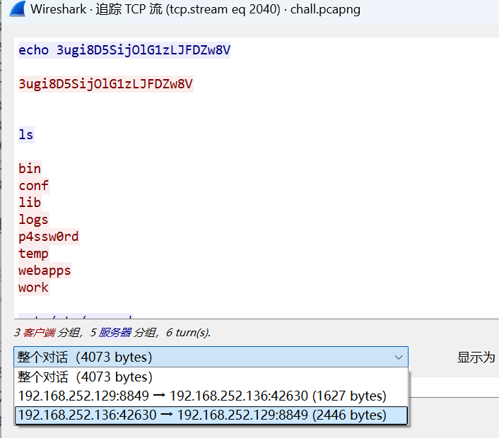 image-20250308225905485