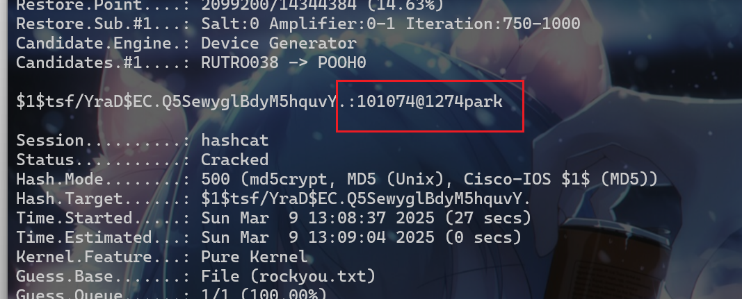 image-20250309130943978
