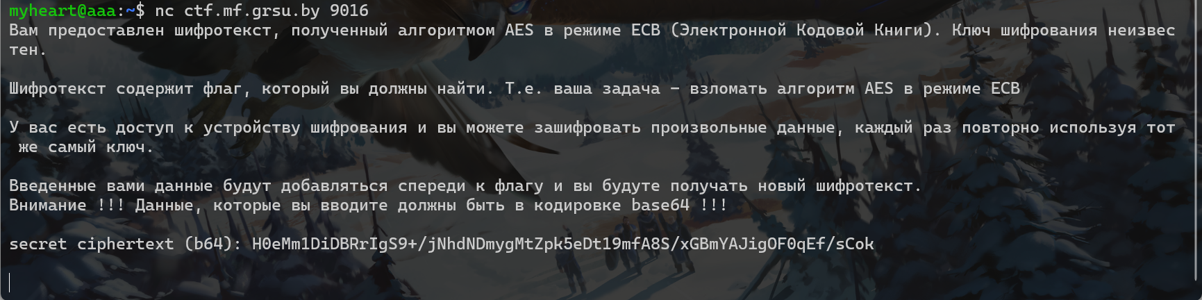 image-20250618020529553