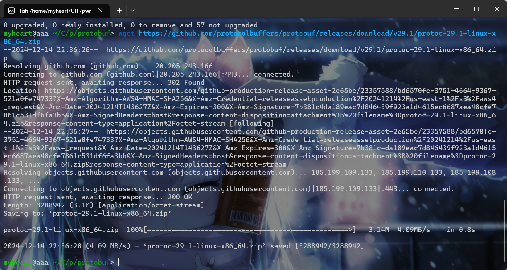 image-20241214223636850