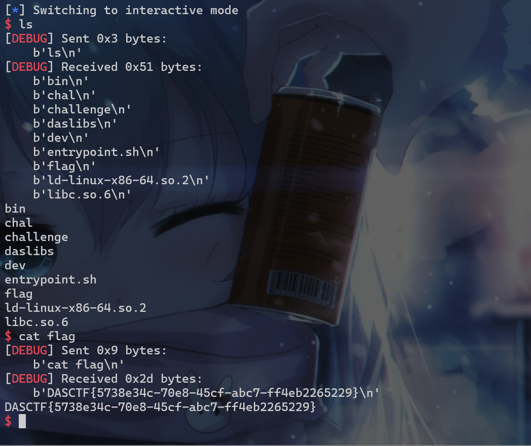 image-20250623021945654