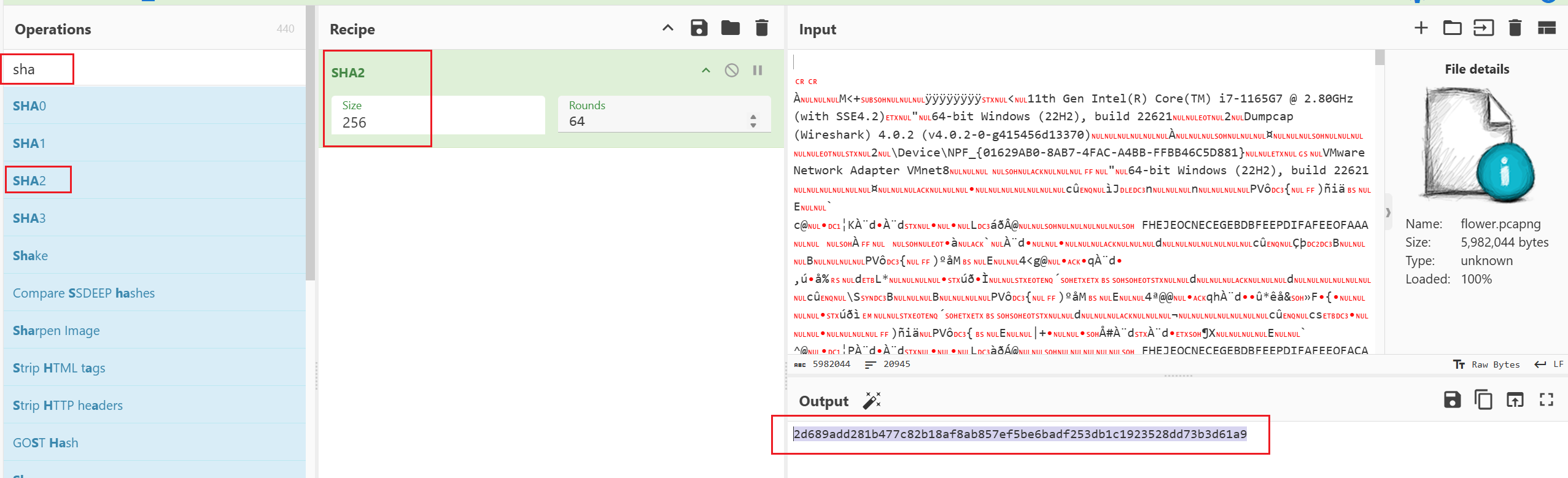 image-20251105234250745