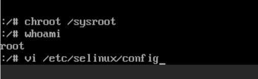 image-20251107135232615