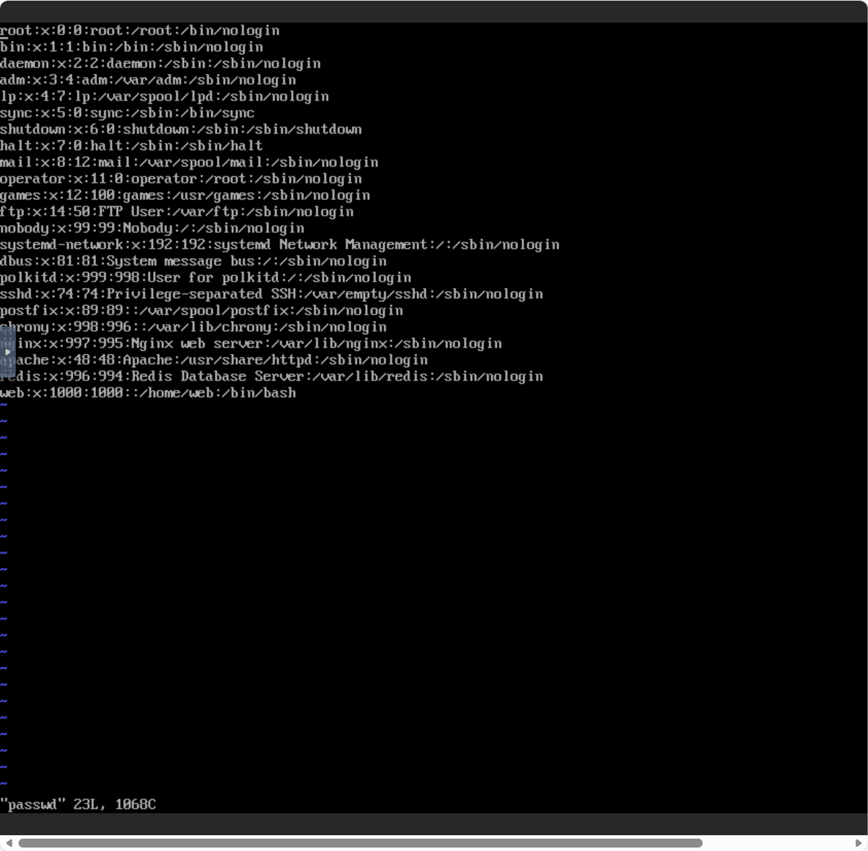 image-20251107135529056