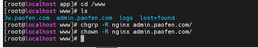 image-20251107185613172