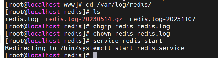 image-20251107185837526