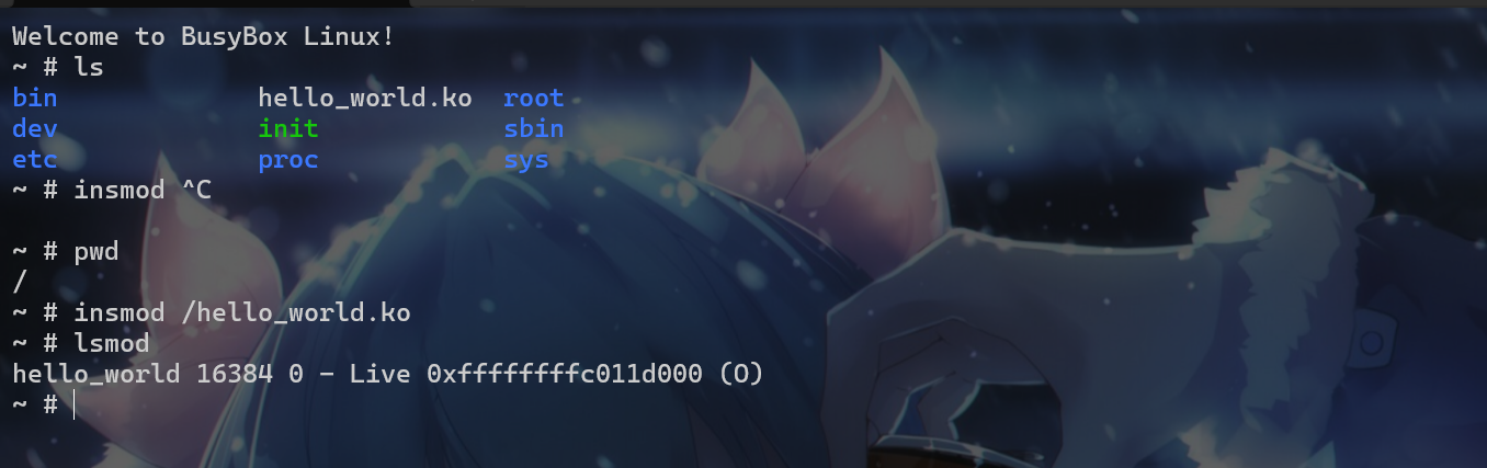 image-20260523032512485