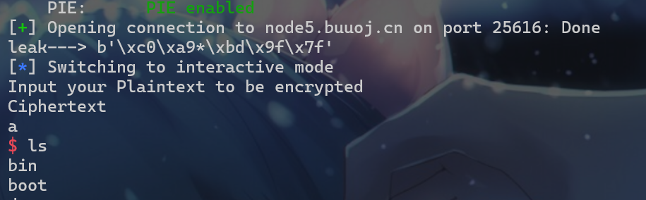 image-20250411175703431